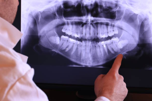 Best Emergency Dental Services for Seniors in Federal Y, WA