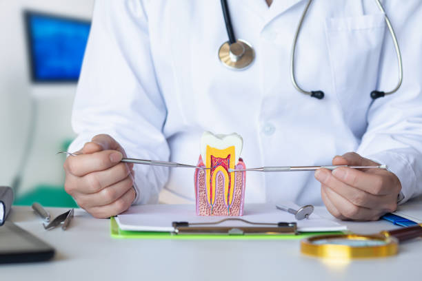 Best Emergency Root Canal Treatment in Federal Y, WA